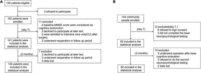 Preoperative Chronic Pain as a Risk Factor for Early Postoperative Cognitive Dysfunction in Elderly Patients Undergoing Hip Joint Replacement Surgery: A Prospective Observational Cohort Study